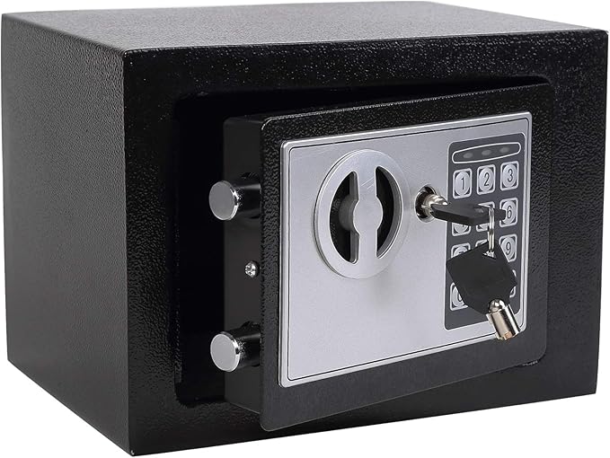 Vaultora™ MiniSecure Digital Safe Box